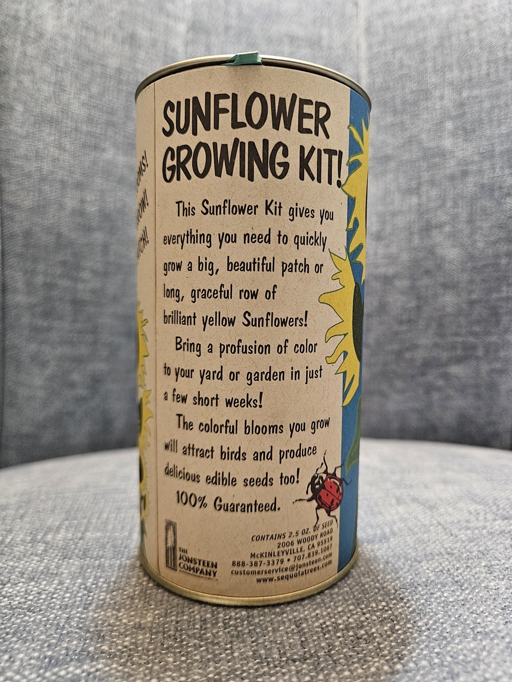 GIANT Sunflower Growing Kit - Yellow - GIANT Sunflower Growing Kit